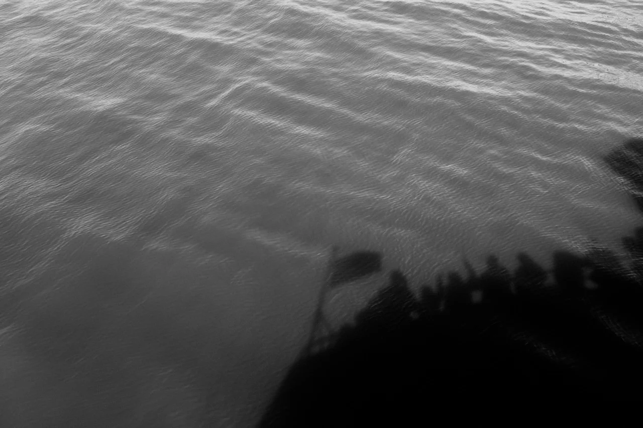 20170218-ATC10595.jpg