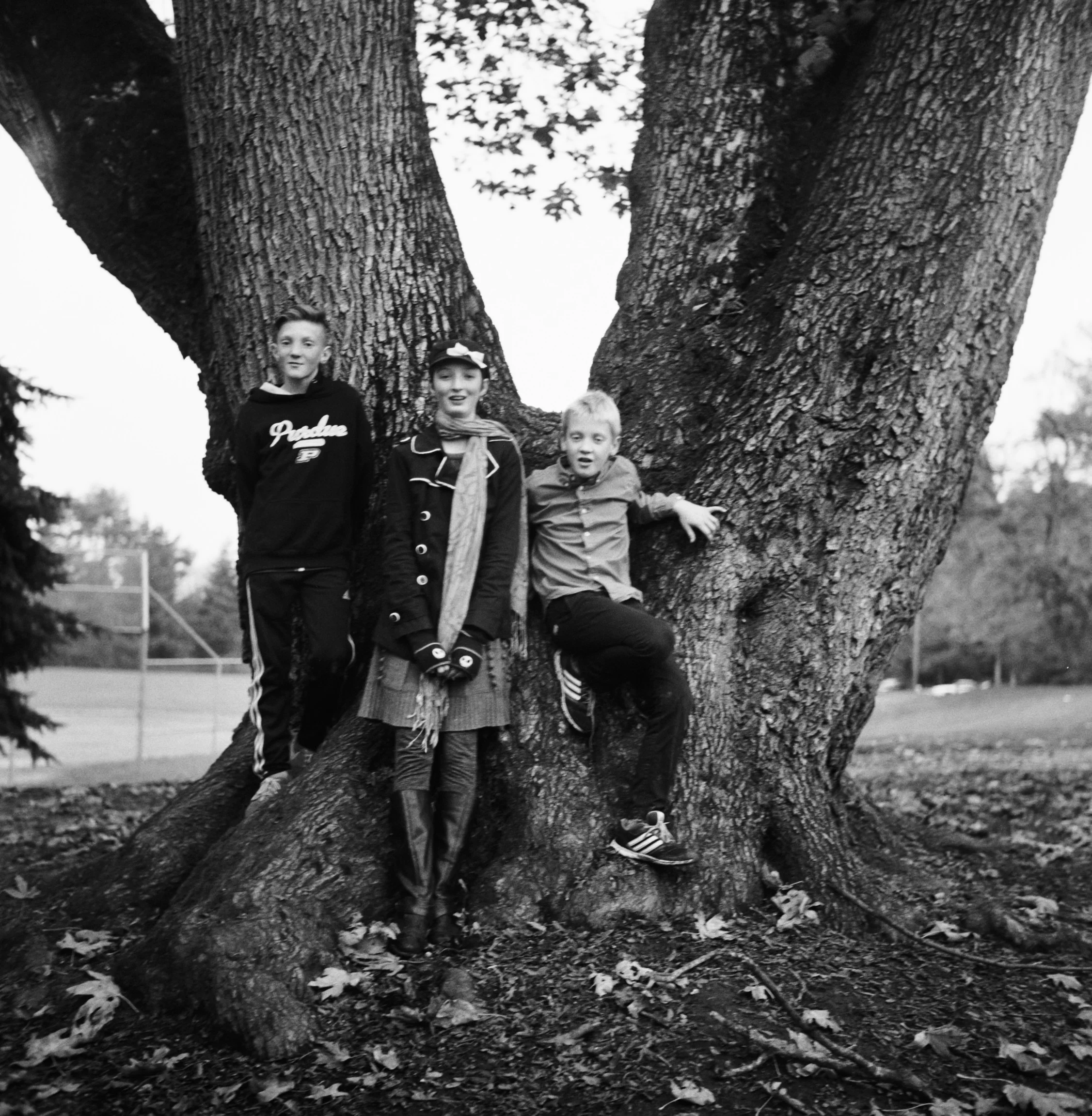 012-TriX400-Rolleiflex-20151112.jpg