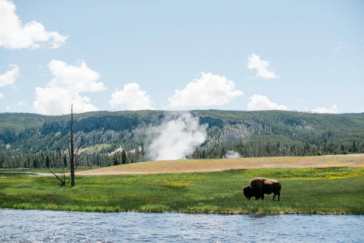 yellowstone-family-rv-roadtrip-066.jpg
