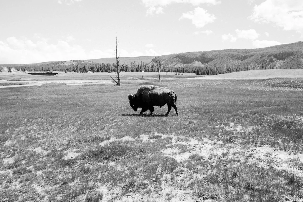 yellowstone-family-rv-roadtrip-086.jpg