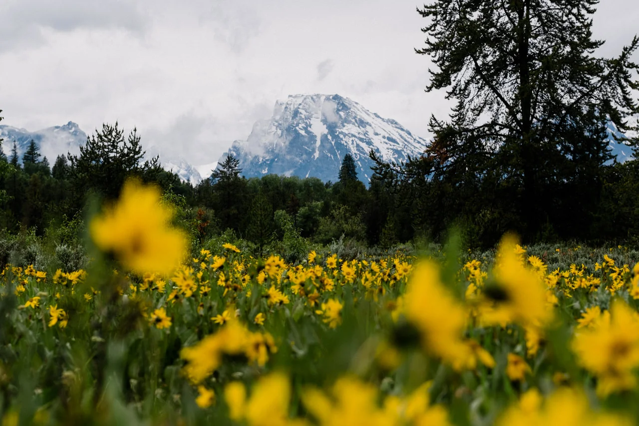 yellowstone-family-rv-roadtrip-125.jpg