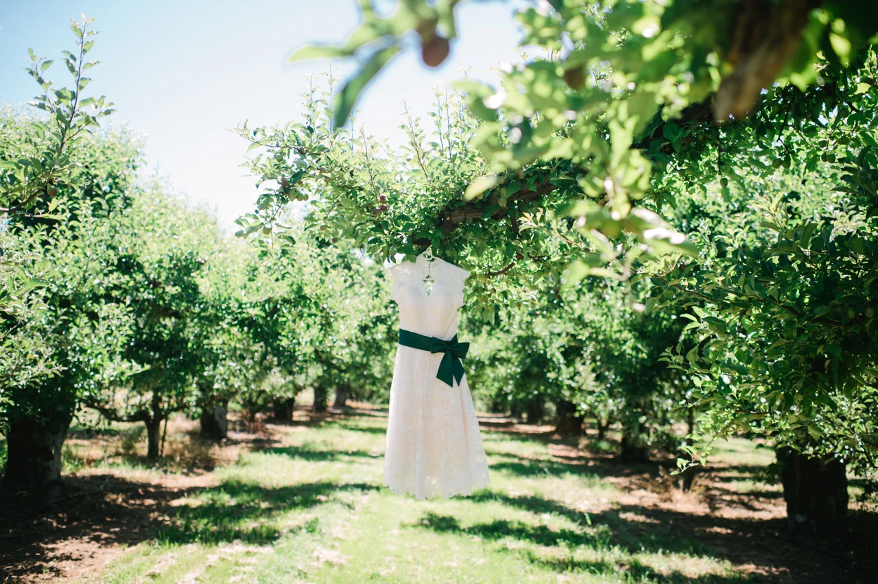 mt-view-orchards-oregon-wedding-001.jpg