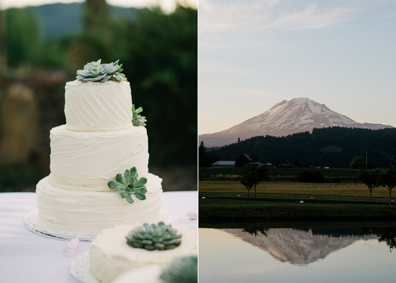 trout-lake-abbey-washington-wedding-118a.jpg