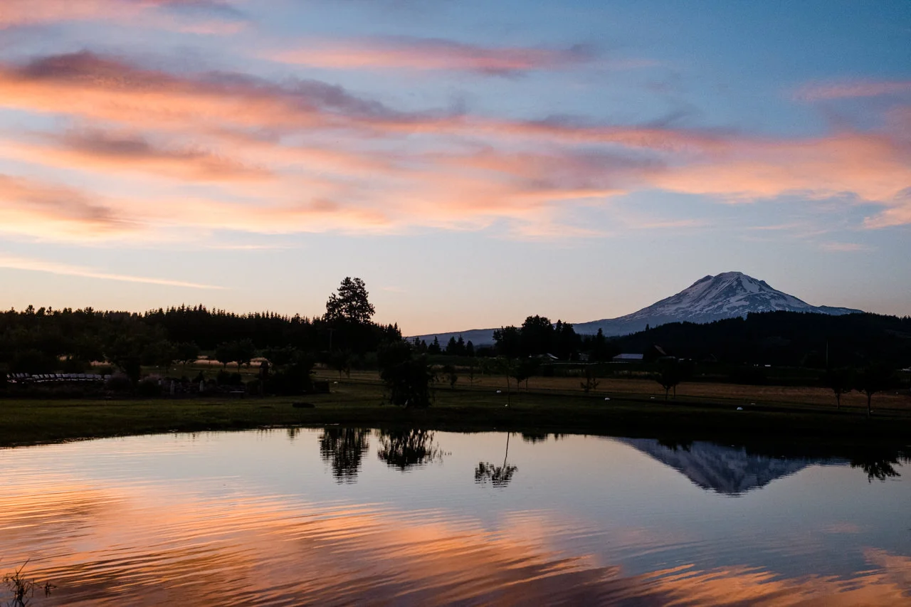 trout-lake-abbey-washington-wedding-121.jpg