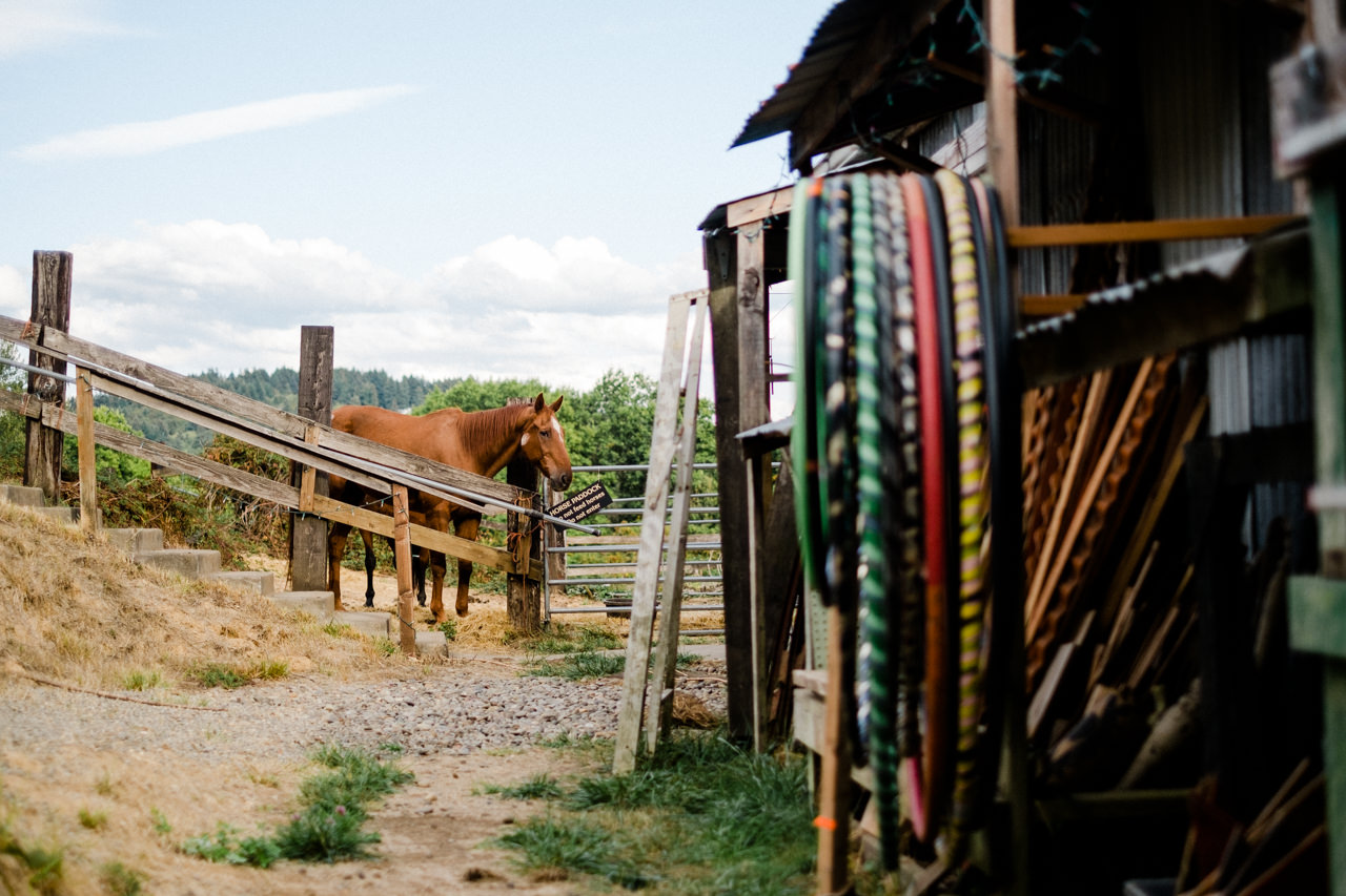 pendarvis-farm-wedding-oregon-007.jpg