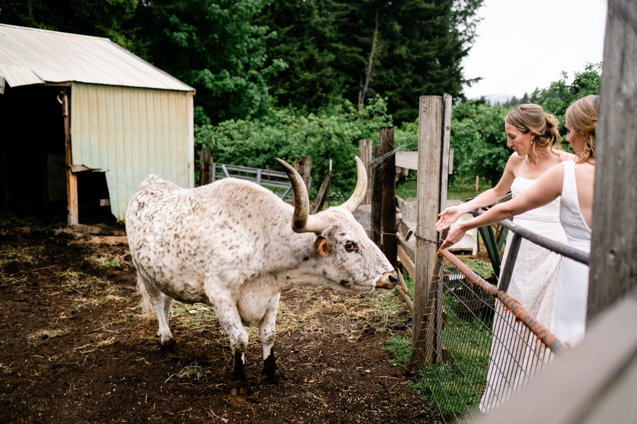 mt-hood-orchards-oregon-hood-river-wedding-105.JPG