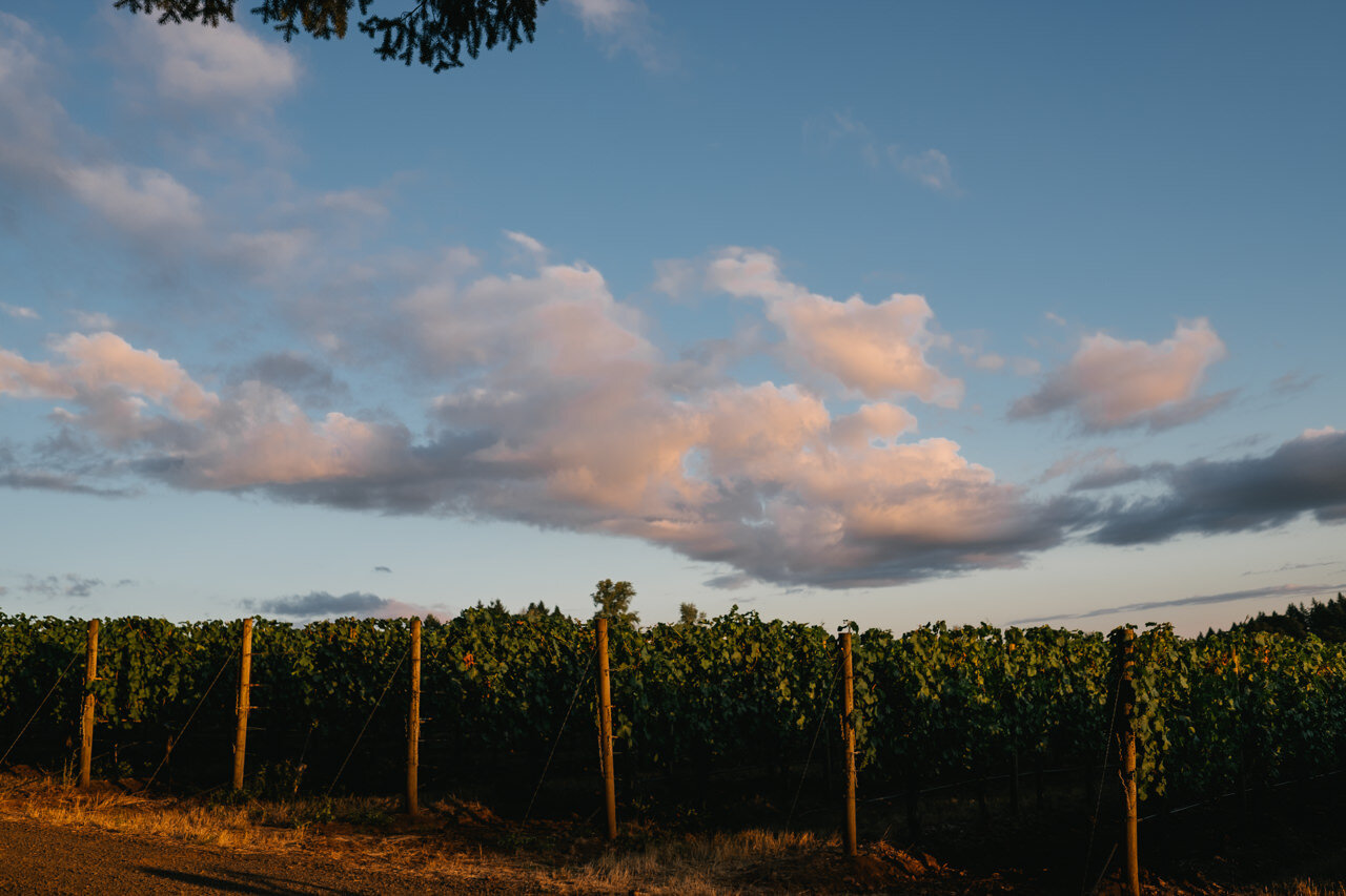 domaine-de-broglie-oregon-vineyard-wedding-085.JPG