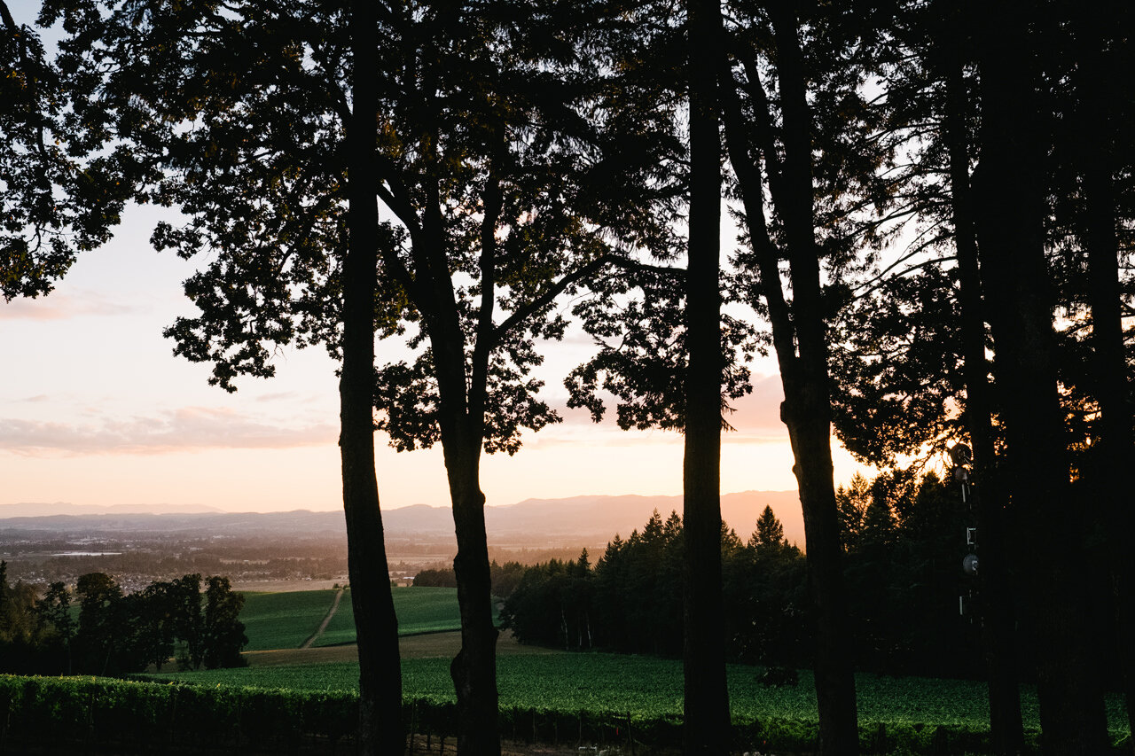 domaine-de-broglie-oregon-vineyard-wedding-088.JPG