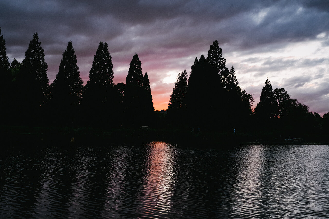  Blue and orange sunset over pond and silhouette trees at crystal springs 