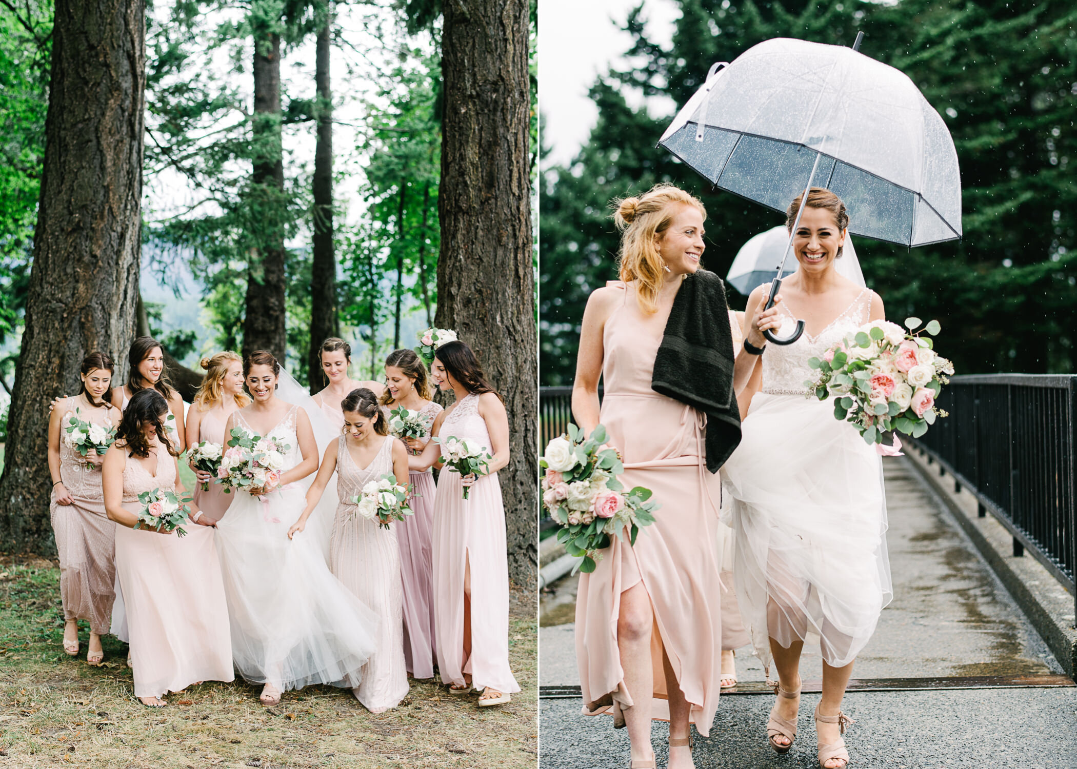  Bride walks with bridesmaids in light pink dresses under large Columbia gorge fir trees 