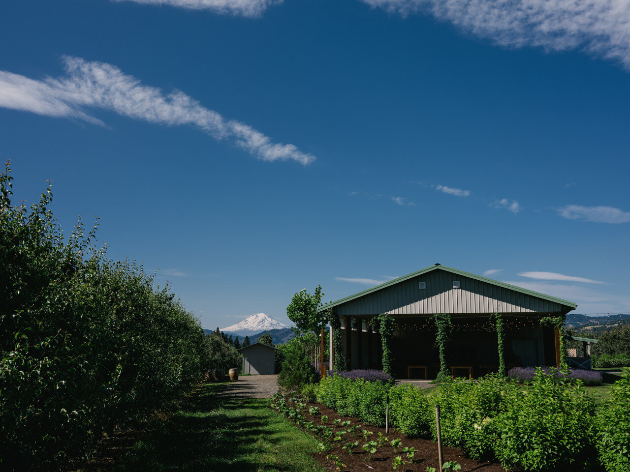  The orchard hood river wedding venue blue sky green ivy 