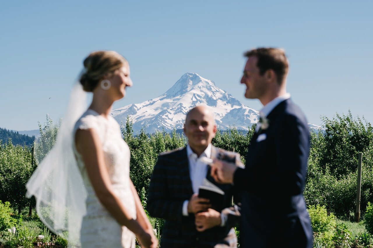  Mt hood in focus behind orchards while bride and groom share vows, blurry in foreground 