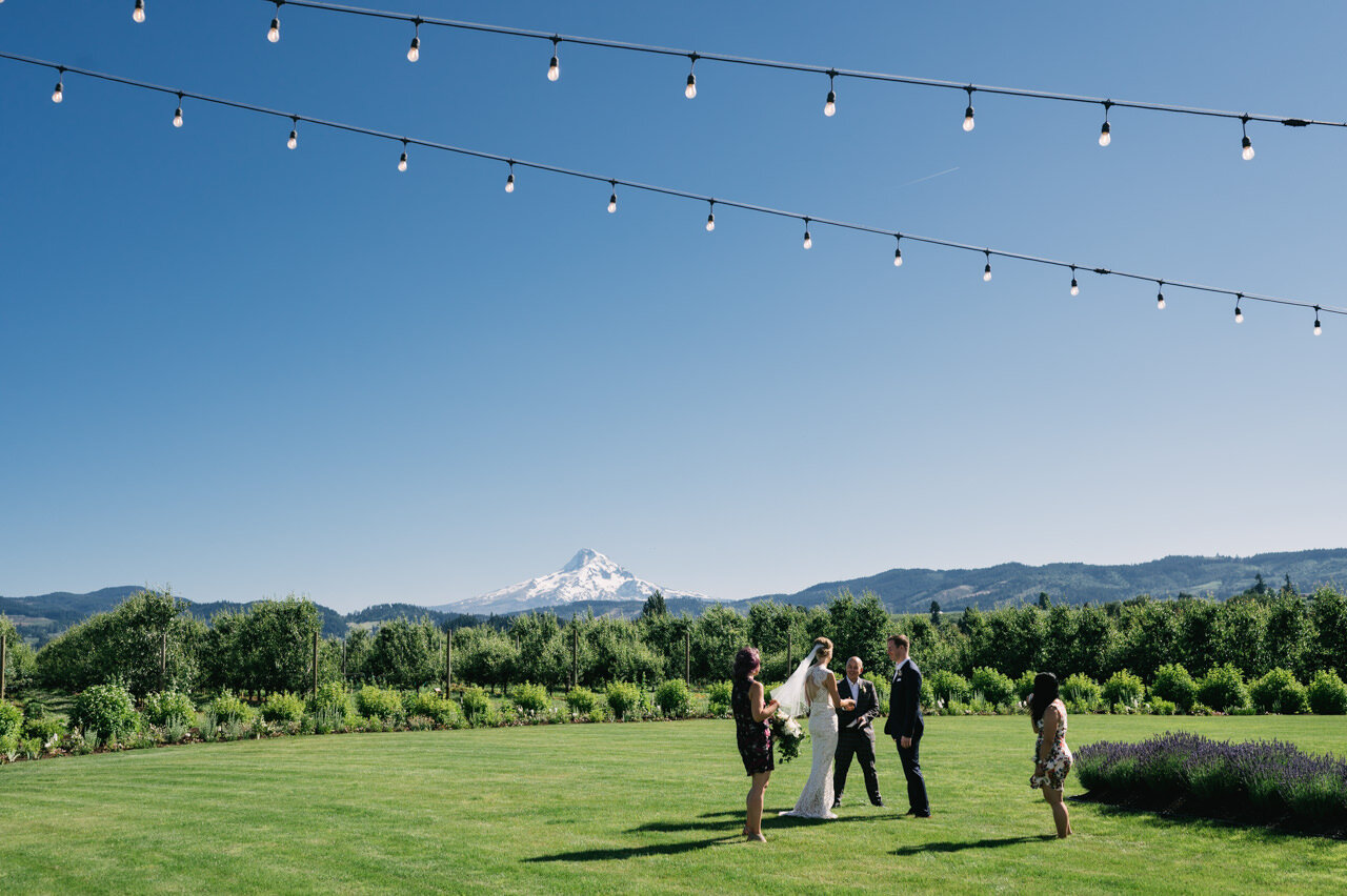  Bulb lights hanging in sky during elopement at the orchard in front of mt hood 