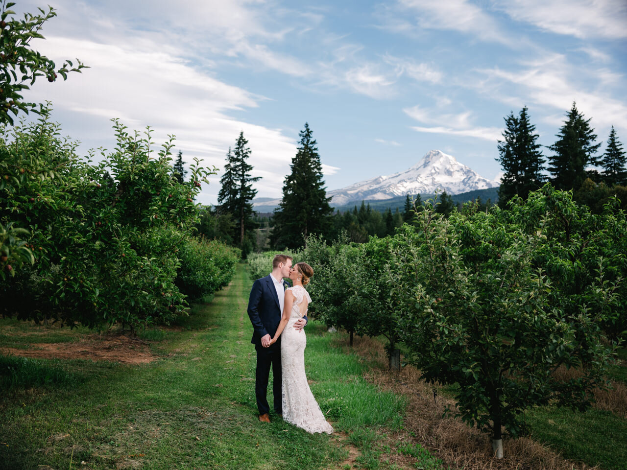  Bride and groom kissing in orchards with tall fir trees and mt hood behind them 