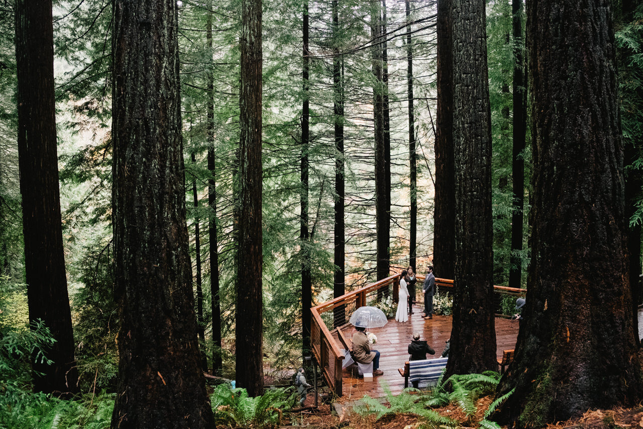  Elopement in forest park on redwood deck surrounded by tall redwood trees 