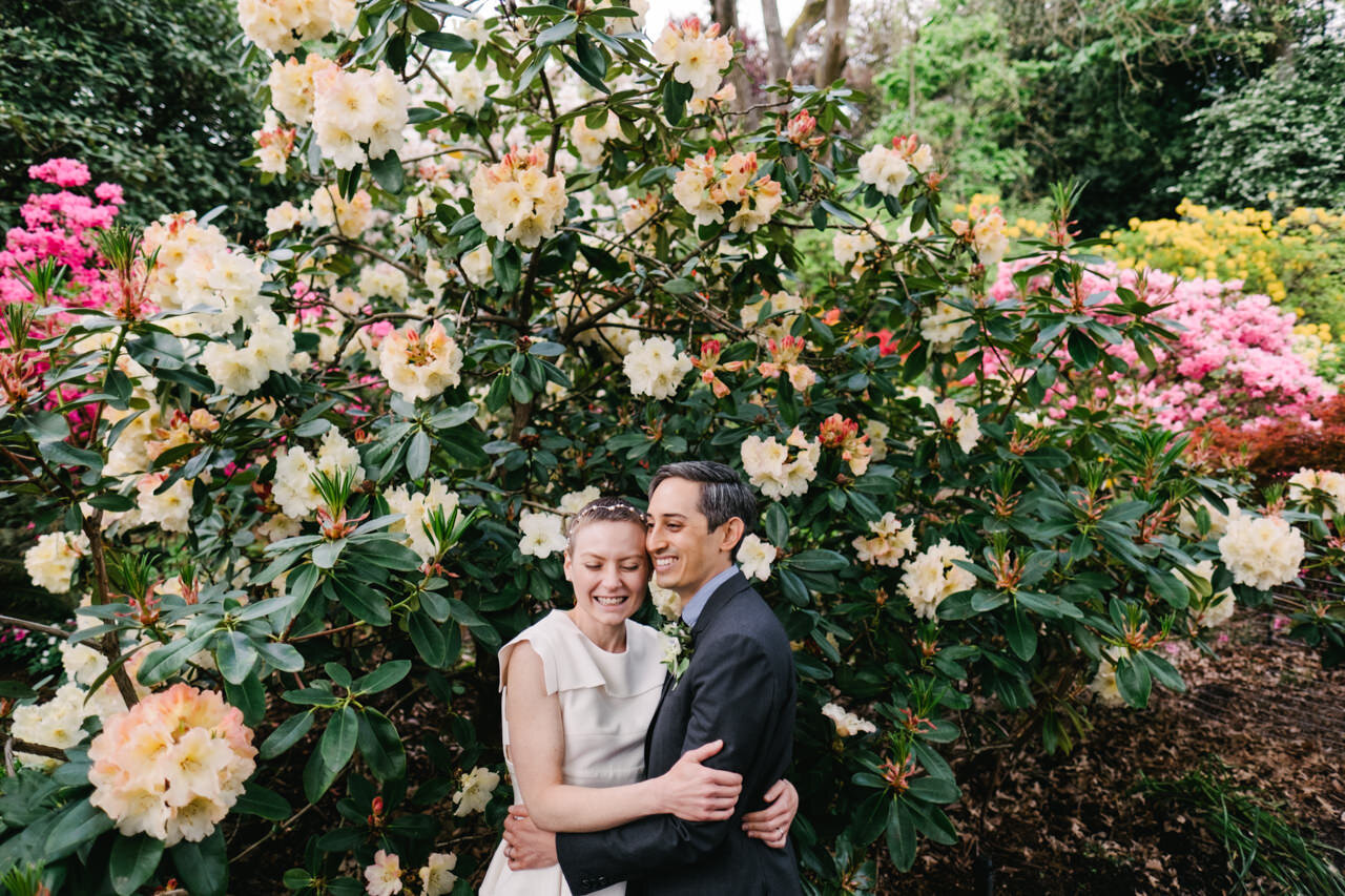  Bride and groom surrounded by yellow, red and pink rhododendron bushes 