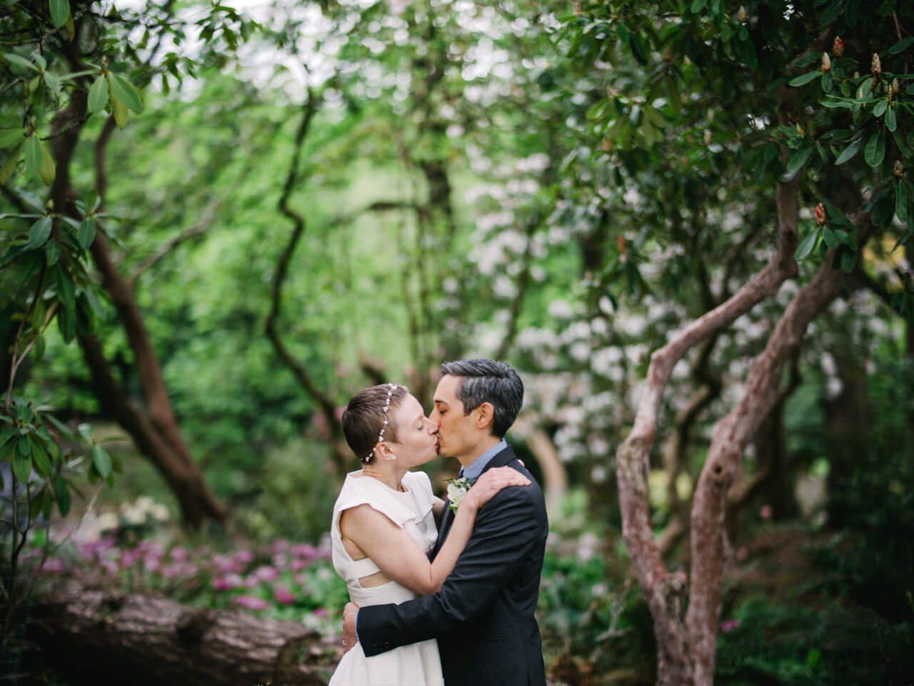  Bride with hair beads kisses groom in old rhododendrons 