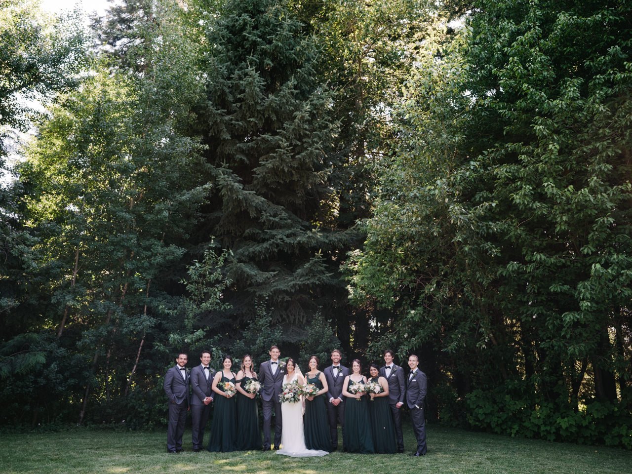  Far away portrait of wedding party in front of tall grove of trees 