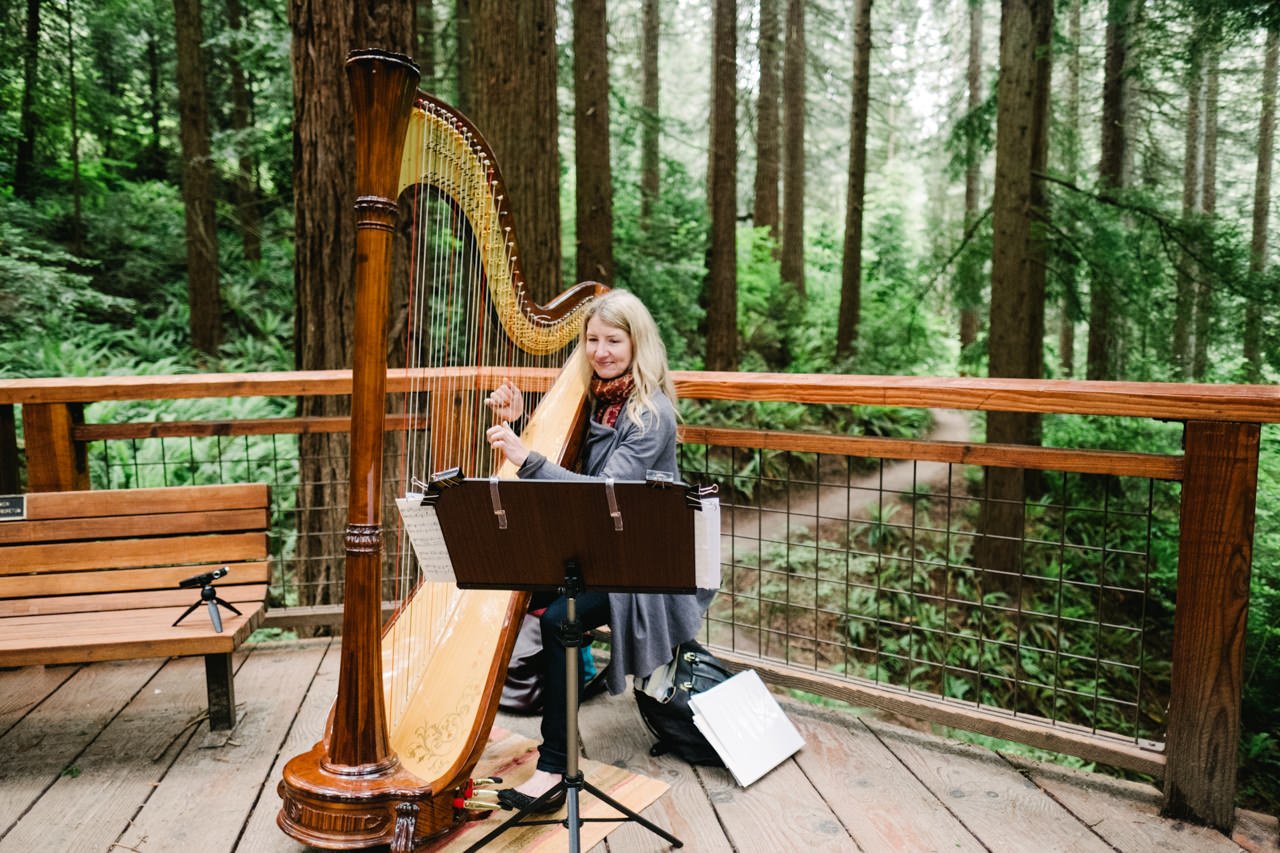  Harpist plays wood harp on the redwood deck in Hoyt Arboretum 