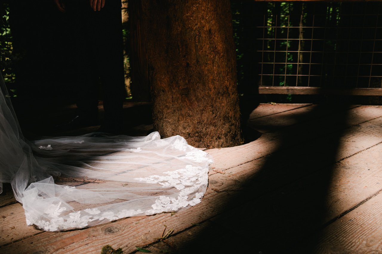  Sun shines on wedding dress on redwood deck wood floor 