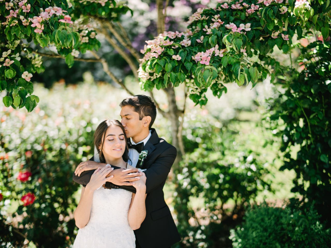  Groom kissing brides forehead under pink dogwood tree at portland rose test garden 