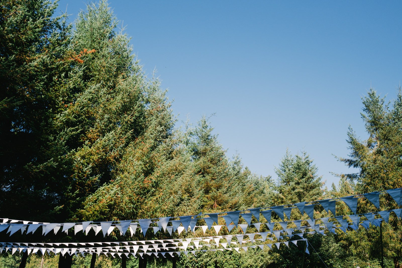  White flags hang above the wedding ceremony in front of fir trees 