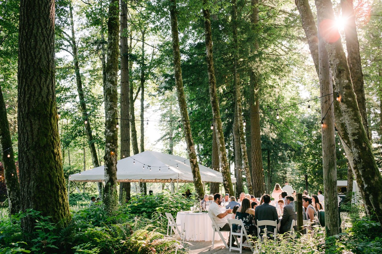  Sunlight shines through tall forest in wedding reception setting 