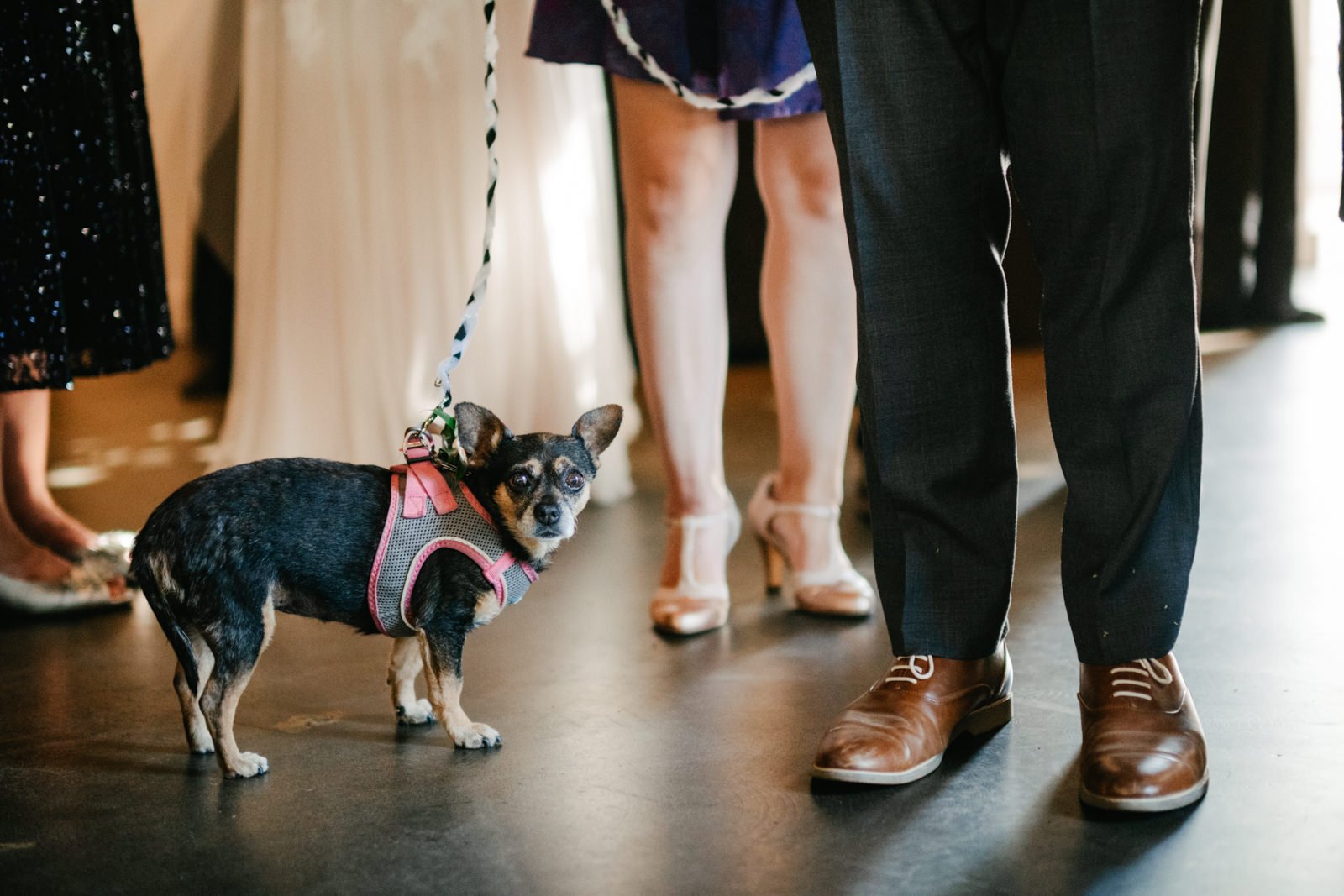 coopers-hall-mt-tabor-summer-wedding-027.JPG