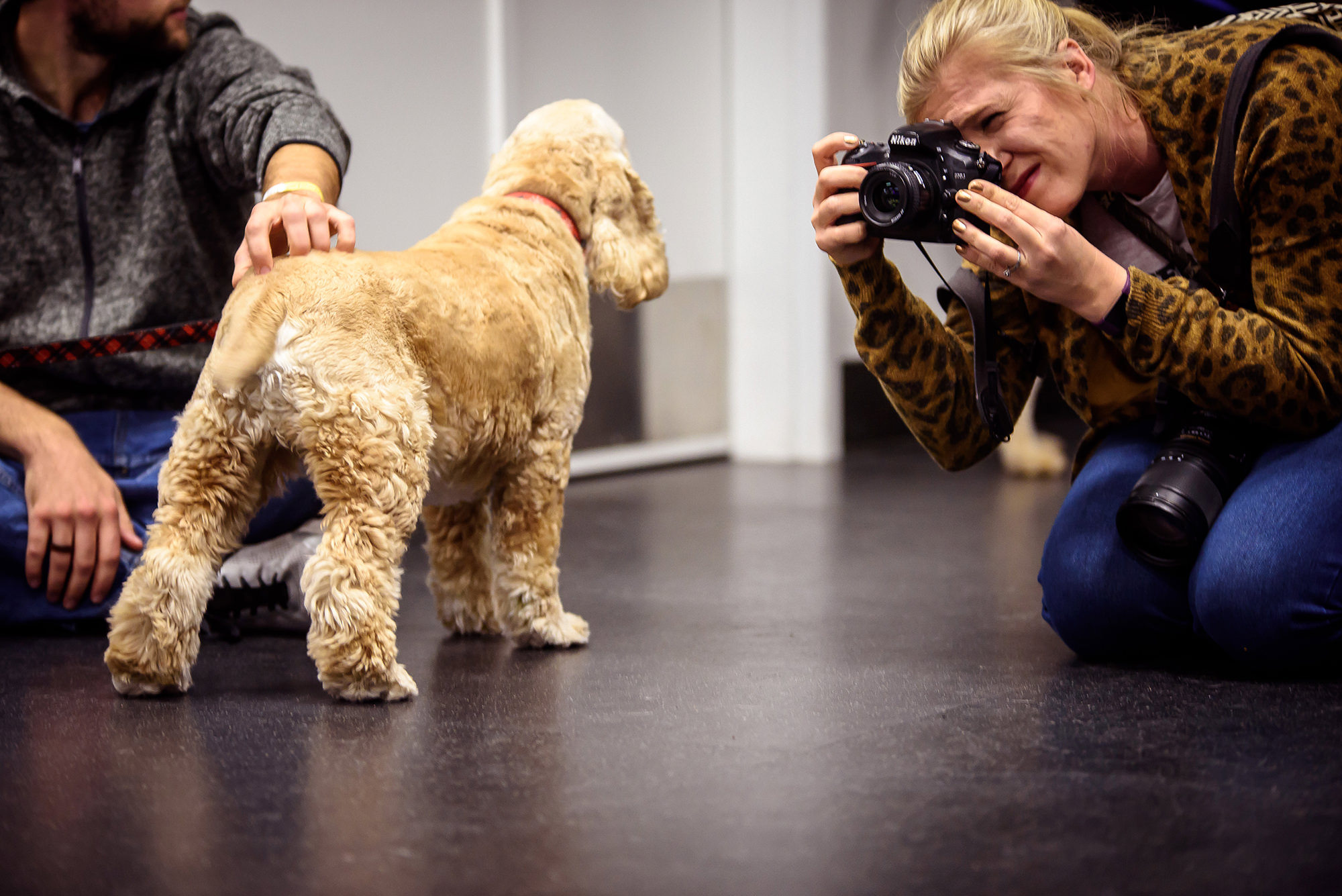 BEST OF OMAHA 2018 PUPPY PAGEANT.jpg