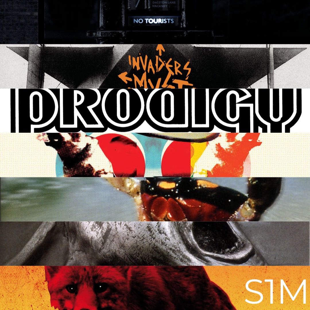 The Prodigy