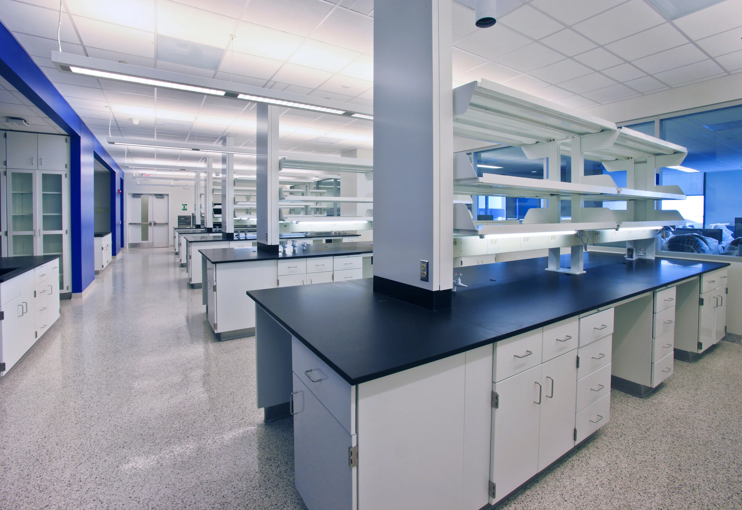 MottLab6070a.jpg