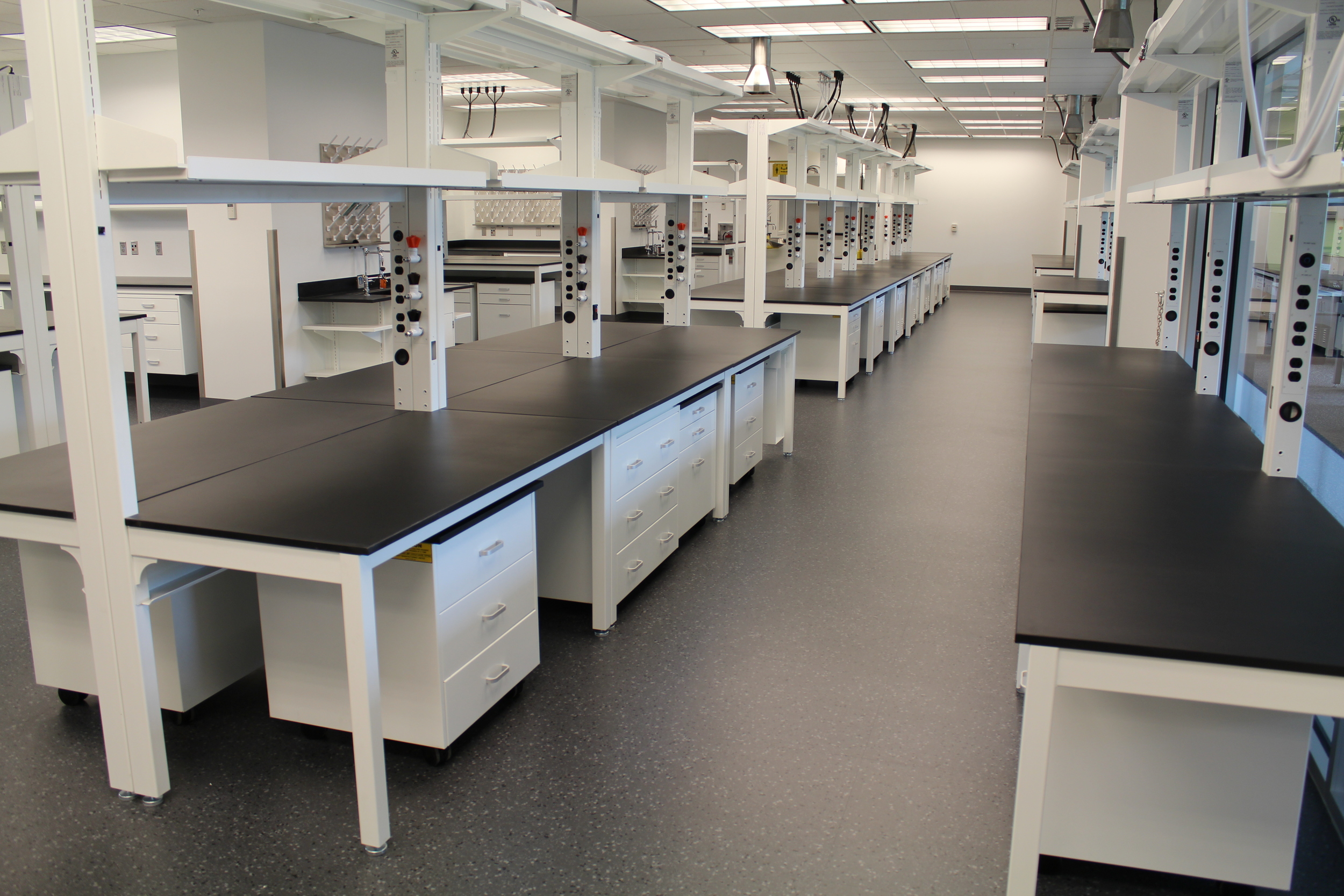 Altus — Cosney Corporation