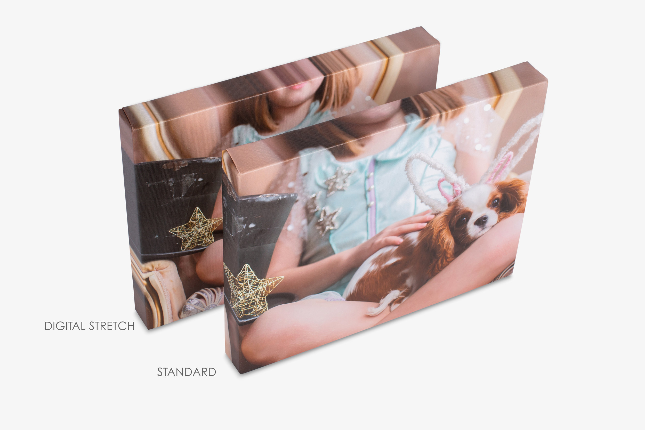 Digitally Stretched Gallery Wrapped Canvas