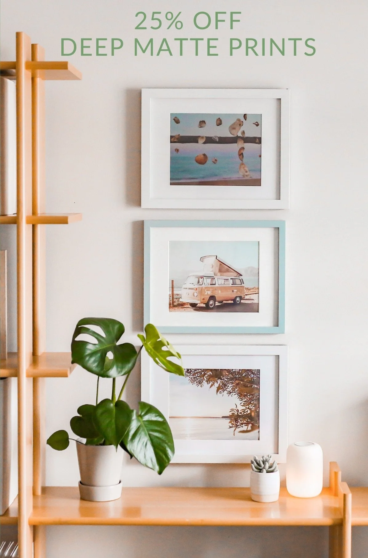 25 Off Deep Matte Prints! — Color Inc Professional Photo and Home