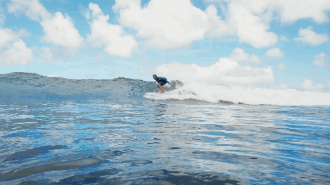 Shorter Pella Surf gif.gif