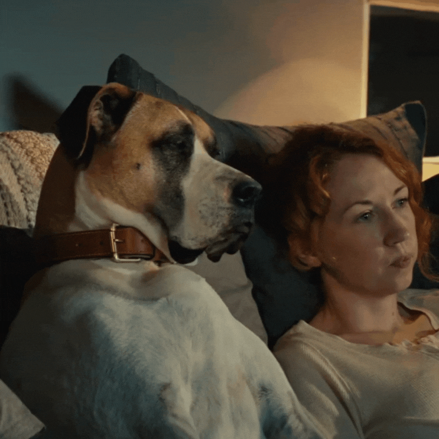 The real New Bed Gif.gif