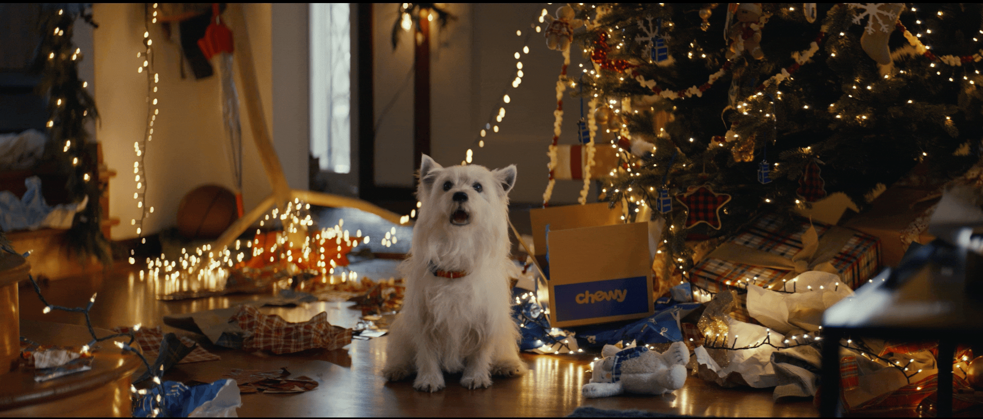 UnbridledJoy High Qual.gif