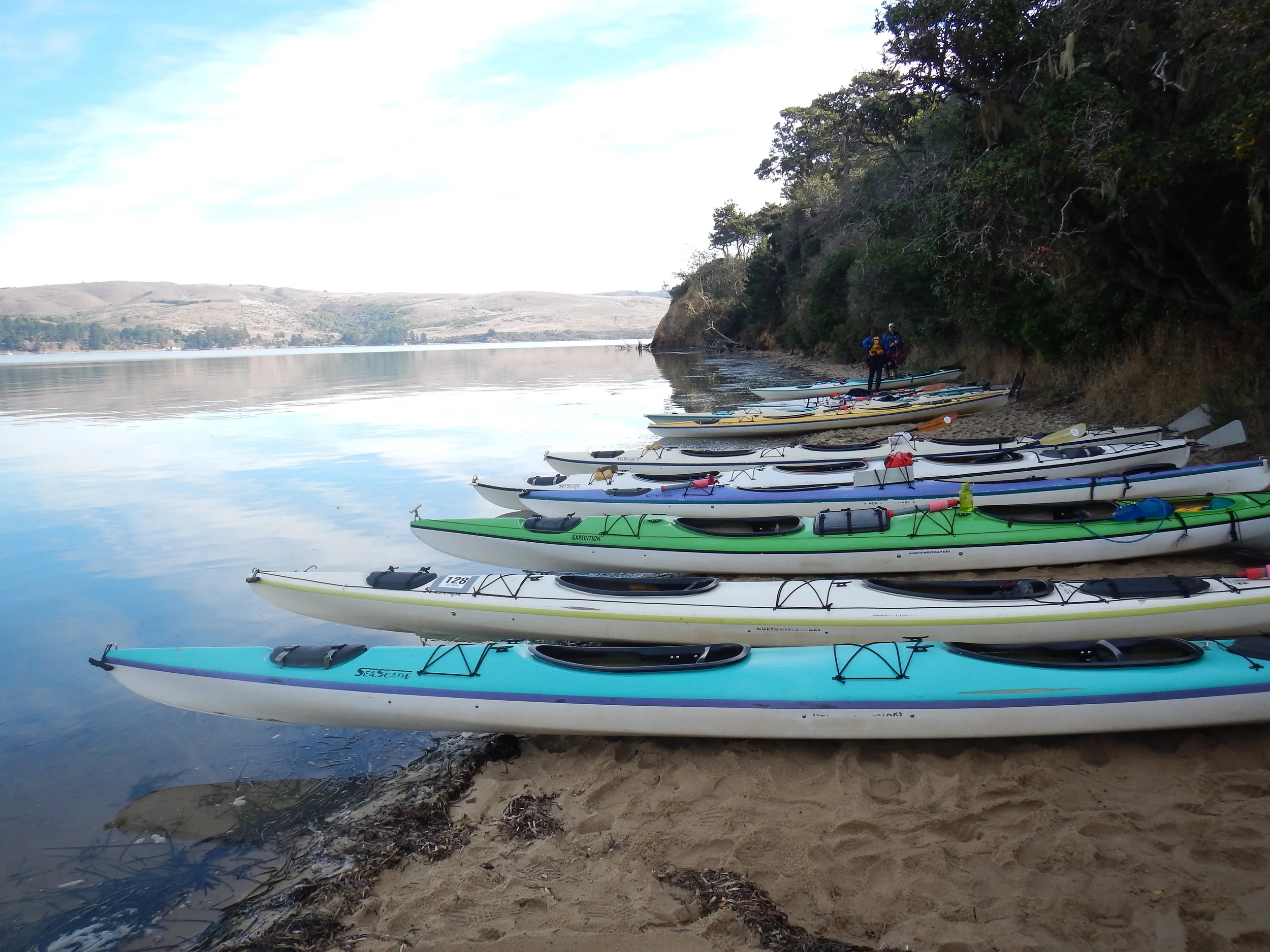 Tomales Bay - Sea Kayak Trip - Overnight