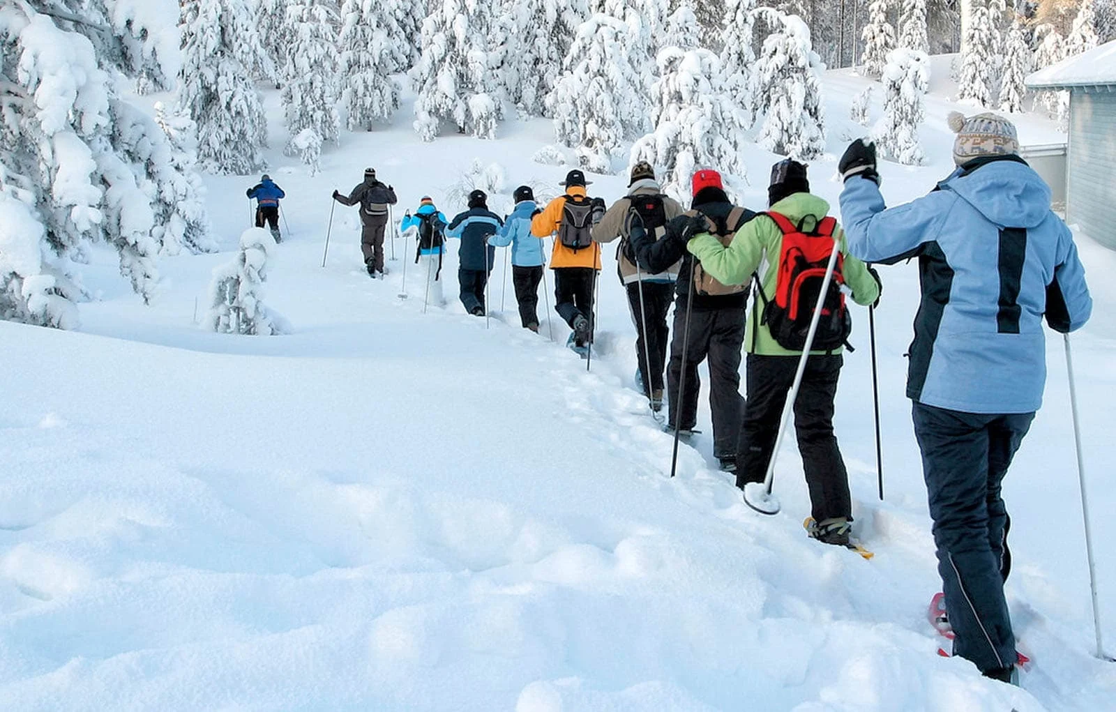Winter Cabin Trip #3 - Bear Valley - Feb 28 - Mar 1, 2020 . - SOLD OUT!