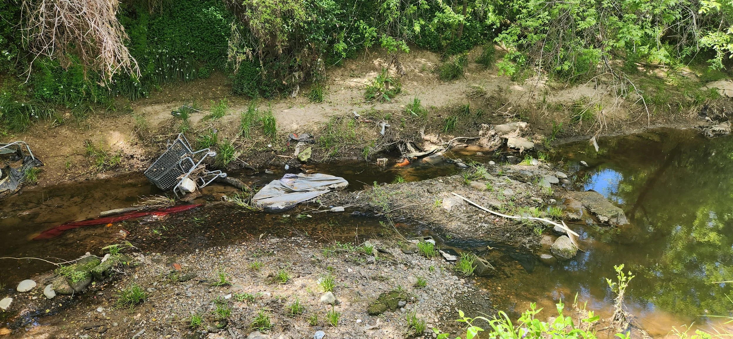 Creek Clean Up - Arcade Creek, Sacramento