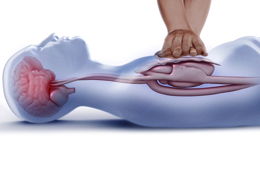 First Aid &amp; CPR Class