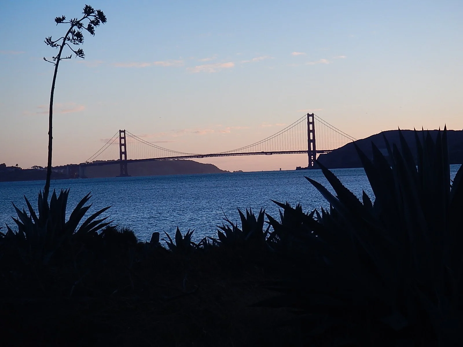 DSCN2750.JPG