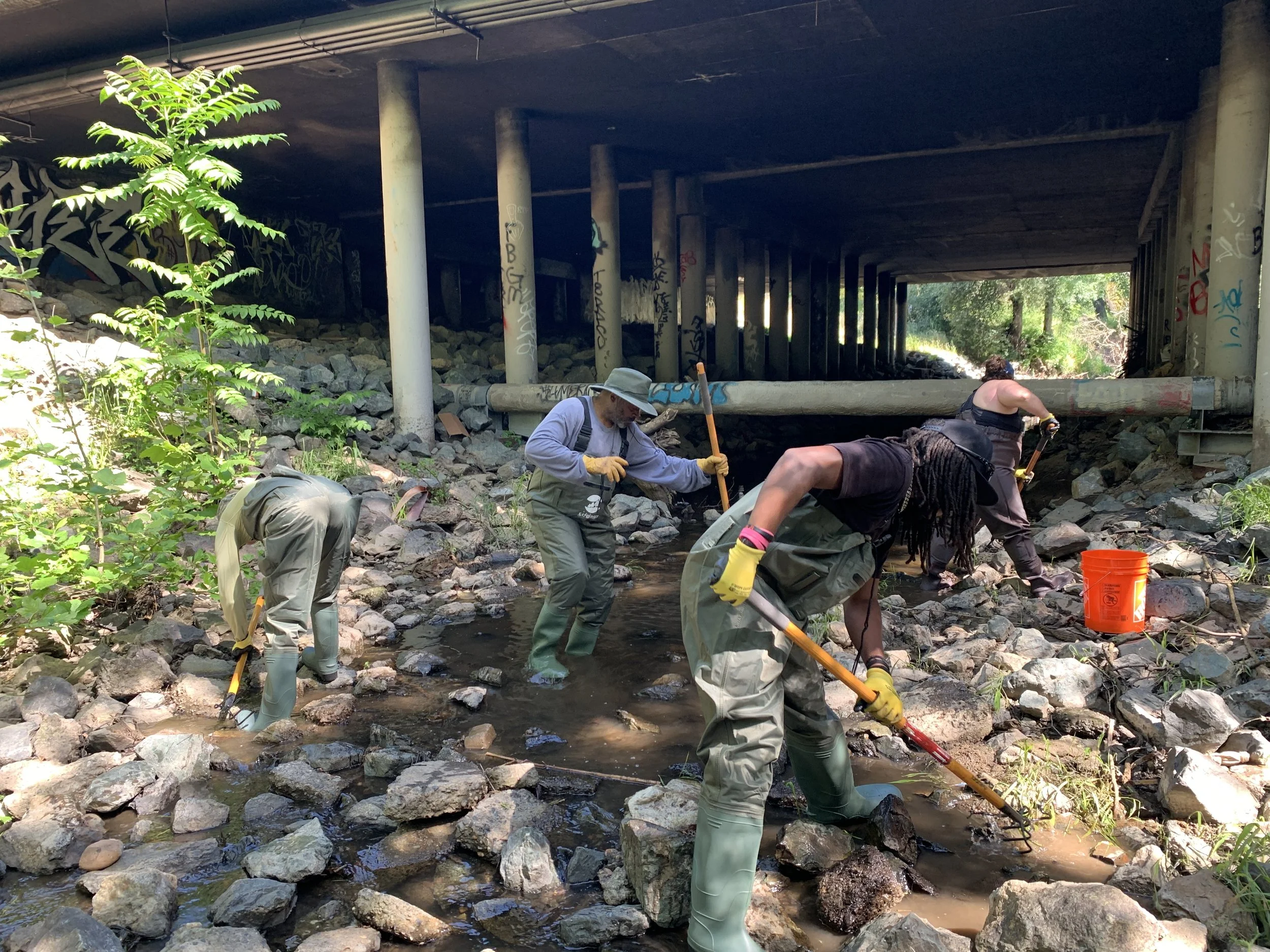 Morrison Creek Cleanup - Sacramento