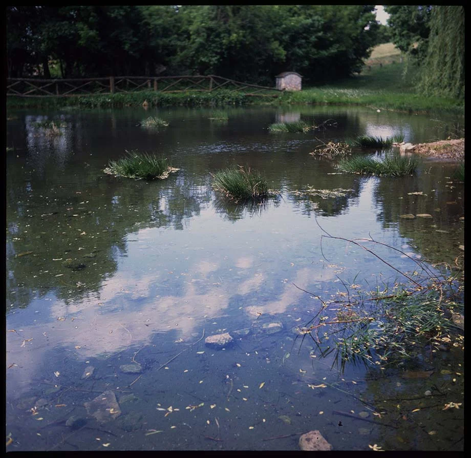 imgII019.jpg