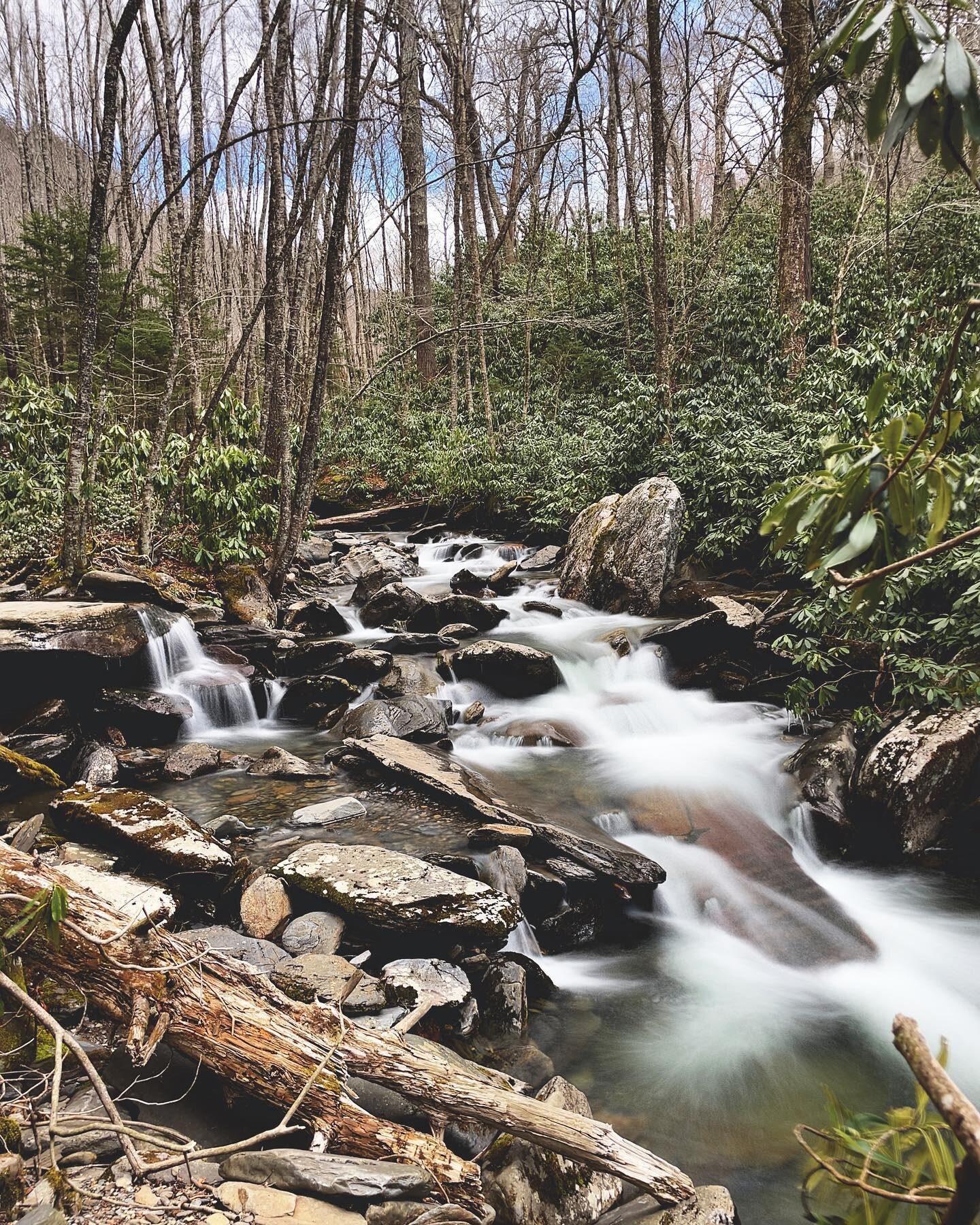 Great Smoky Mountains National Park 
&bull;
&bull;
&bull;
&bull;
&bull;
#northcarolina #tennessee #greatsmokymountains #greatsmokymountainsnationalpark #nature #hiking #camping #shotoniphone