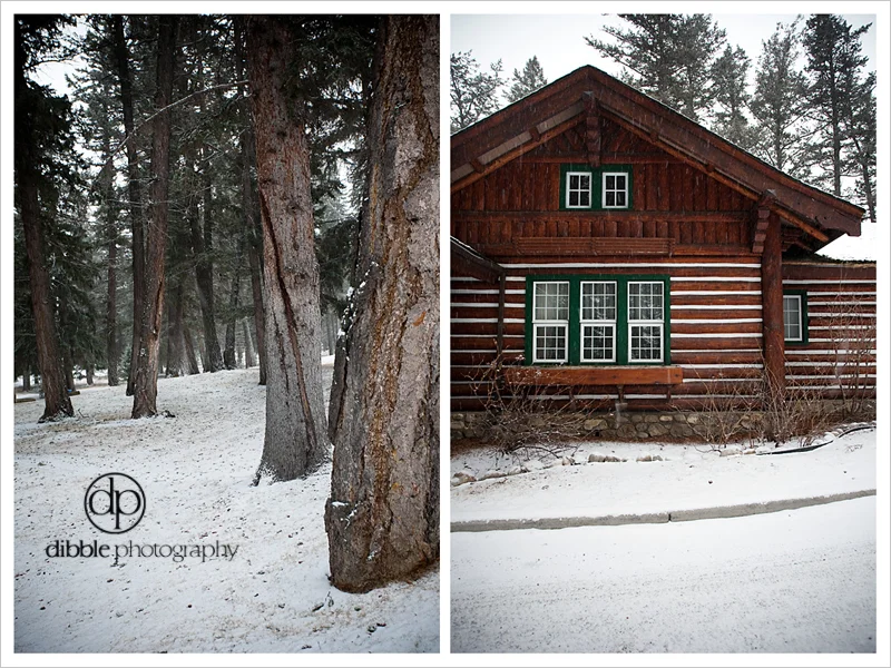 jasper-winter-wedding-JPL-19.jpg
