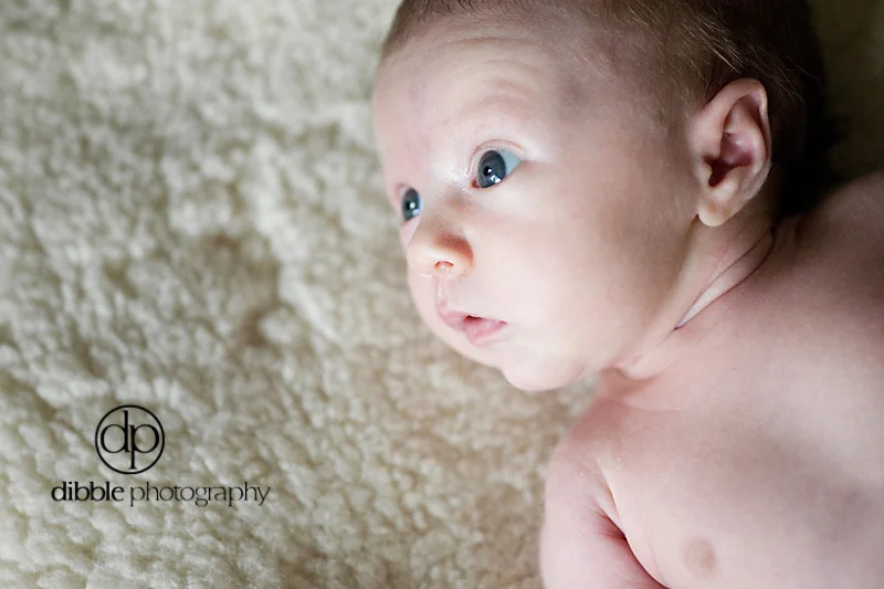 newborn-portrait-golden-bc04.jpg