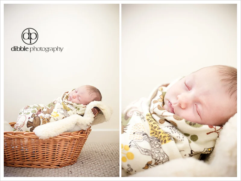 newborn-portrait-golden-bc12.jpg
