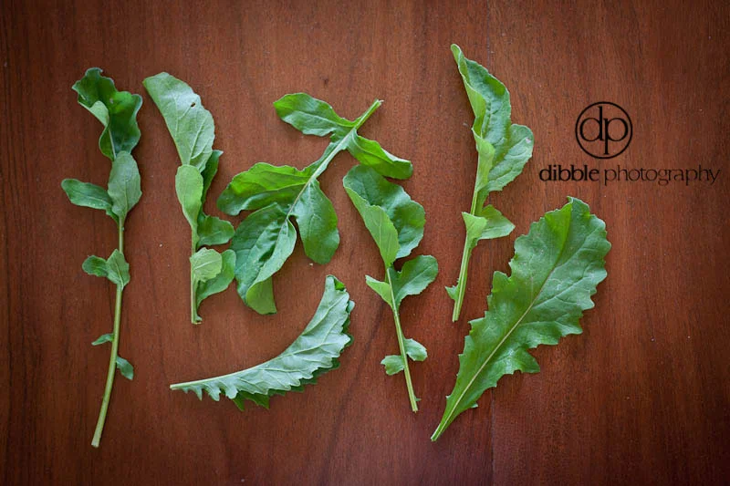 arugula-3134.jpg