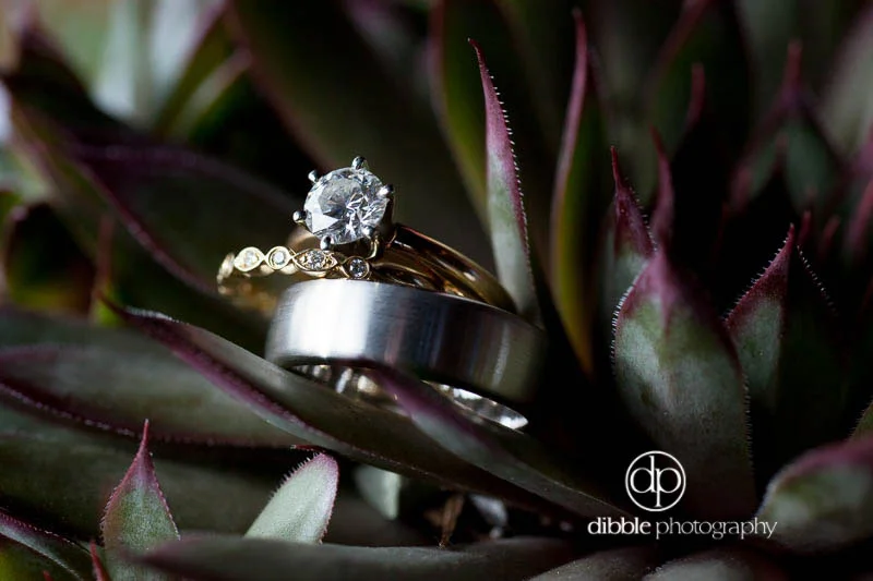 kicking-horse-wedding-ml33.jpg